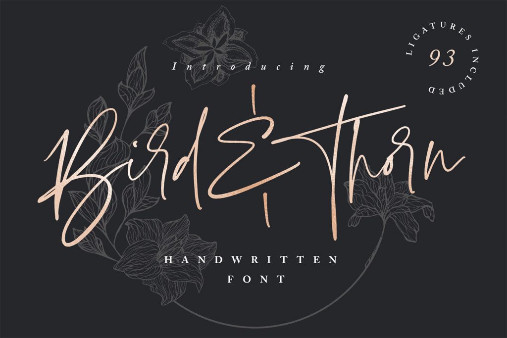 Bird & Thorn Font | Set Sail Studios